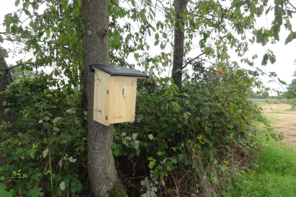 An einem Baumstamm hängt ein Holzkasten, der ein bisschen wie ein Vogelhäuschen aussieht. Er dient den umgesiedelten Hornissen als neue Heimat.